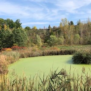 Meet your Posher, Claire